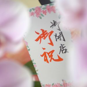 通販でお祝い用の胡蝶蘭をお探しなら当社がおすすめです