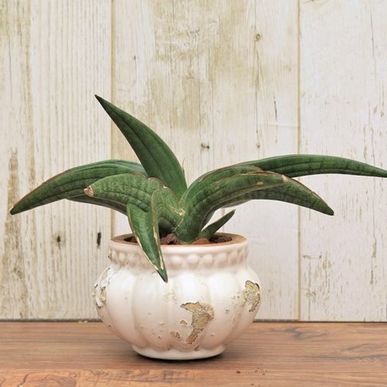 60 Idee Su Fiori Artificiali Fiori Artificiali Fiori